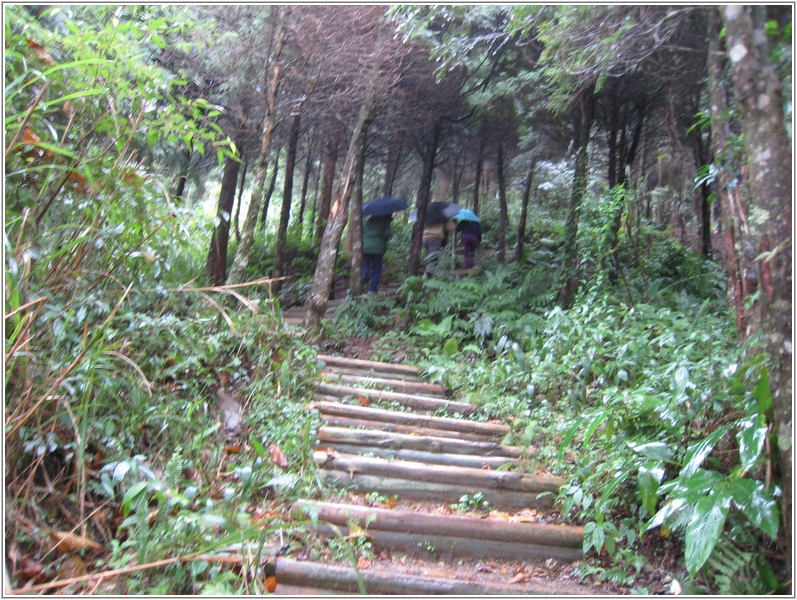 2012-11-17 07-43-18下雨天到加里山登山口試走沒登頂.JPG